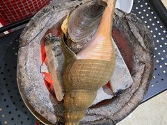 茅台炭烧响螺-金龙·打边炉(武进路店)