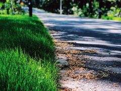 -春兰国宾馆(凤城河风景区老街店)