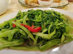 椒丝腐乳炒通菜-佛有缘素食馆·荔湾老字号(陈家祠首店)
