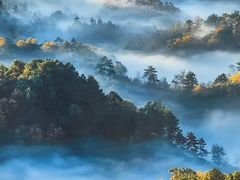 -三圣花乡旅游区