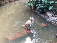 -长鹿旅游休博园