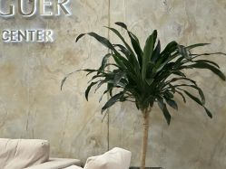 -上海首尔丽格医疗美容医院