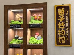 -菌自由丨野生菌火锅特色庭院餐厅(丽江古城店)