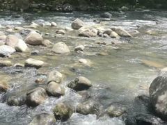 -石台牯牛降景区