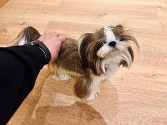 -东田之村自助餐厅(金水路店)