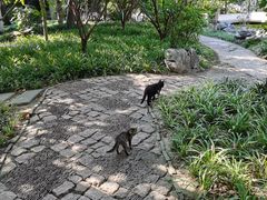 -秋霞圃