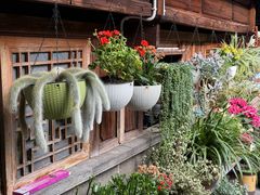 -龙姐私房菜(和顺古镇店)