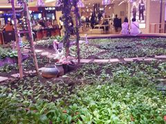 -东方红海鲜百汇(国际大厦店)