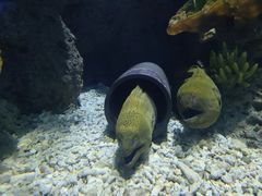 -多彩贵州城极地海洋世界