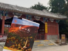 -香山公园