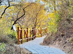 -大岭沟猕猴桃谷风景区