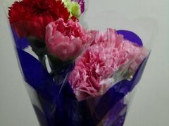 -晓林火锅(安定门店)