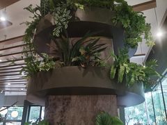 -gaga(深圳福田星河COCO Park店)
