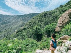 -大觉寺-停车场