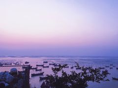 -枸杞岛