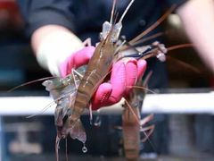 -V-ONE西雅图海鲜自助餐厅(仓山万达广场店)