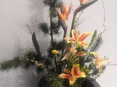 -深圳国际园林花卉博览园