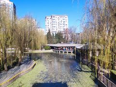 -团结湖公园