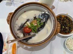 -全乐鱼馆·淳牌有机鱼直营店