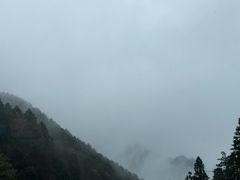 -浔阳中餐厅