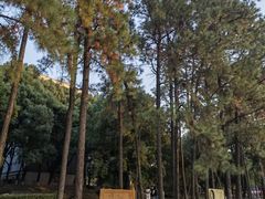 -江西财经大学(蛟桥园南校区)