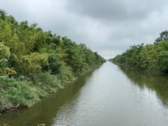 -黄海国家森林公园