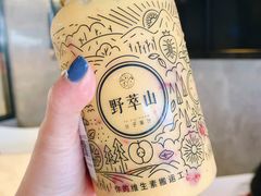 -野萃山·潮汕厚果汁(十亩地店)