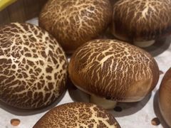 -苏淮景·苏闽融创菜·海鲜(原空港井河轩店)