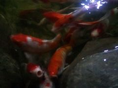 -奥斯卡新都汇影城(终级银幕)