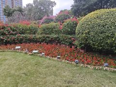 -五缘湾湿地公园