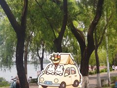 -丁香湖公园