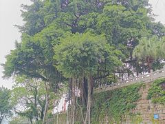 -船政文化景区-罗星塔公园