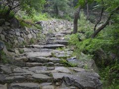 -北京鹫峰国家森林公园