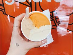 -Dip in Gelato(富民路店)