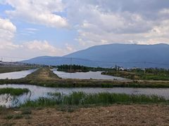 -大理洱源西湖景区