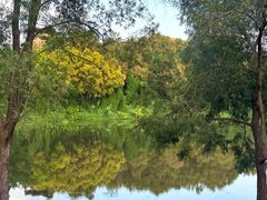 -中旅阿那亚九龙湖·公主酒店