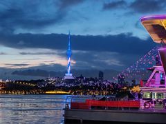 -武汉关码头(轮渡站)