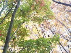 -崂山九水游览区