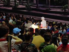 -三亚红色娘子军演艺公园景区