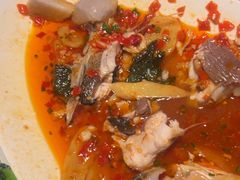 -凤凰湘语(浦东旗舰店)