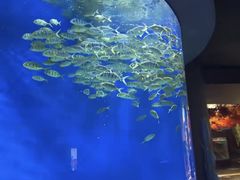 -成都浩海立方海洋公园