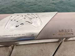 -星光大道
