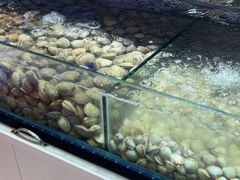 -四海蒸鲜蒸汽海鲜自助(北戴河店)