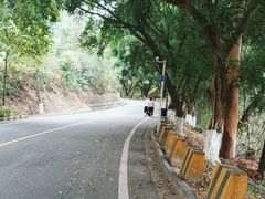 -大雁山风景区