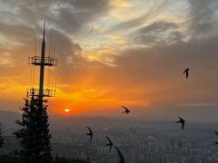 -兰山公园