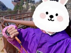 -少华山国家森林公园