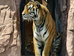 -鄂尔多斯野生动物园