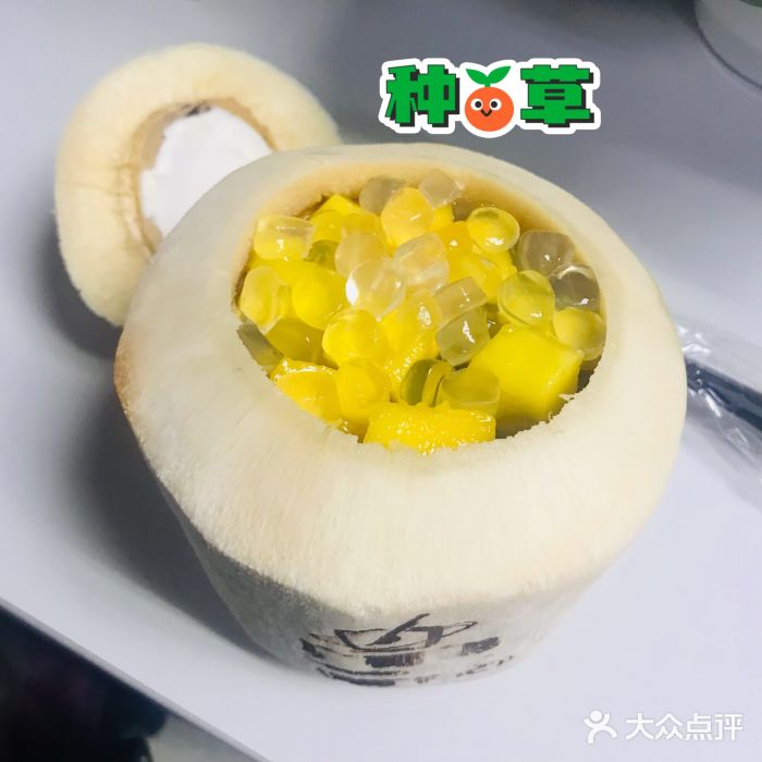 广德记·椰子冻手制甜品(福田总店)图片