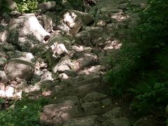 -王顺山国家森林公园