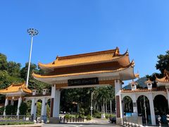 -深圳仙湖植物园
